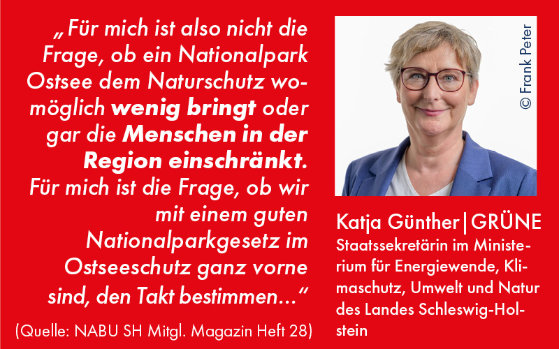 Zitat Katja Günther|GRÜNE Staatssekretärin im Ministerium für Energiewende, Klimaschutz, Umwelt und Natur des Landes Schleswig-Holstein: „Für mich ist also nicht die Frage, ob ein Nationalpark Ostsee dem Naturschutz womöglich wenig bringt oder gar die Menschen in der Region einschränkt. Für mich ist die Frage, ob wir mit einem guten Nationalparkgesetz im Ostseeschutz ganz vorne sind, den Takt bestimmen…“ (Quelle: NABU SH Mitgl. Magazin Heft 28)