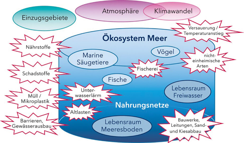 Ökosystem Meer